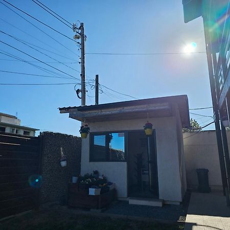 Vila Natalia Vama Veche Exterior photo
